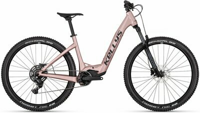 TAYEN LS10 P ROSE GOLD 29" 820 Wh
