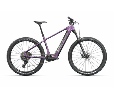 TYGON AX70 AURORA BOREALIS 29" 800 Wh 4156044