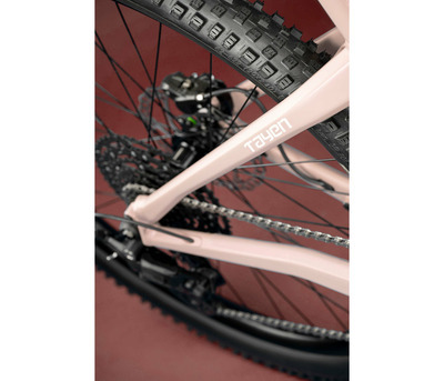 TAYEN RS50 P ROSE GOLD 27.5" 820 Wh