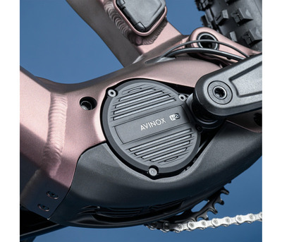 THEOS AX20 MAGIC ICE 29" 800 Wh