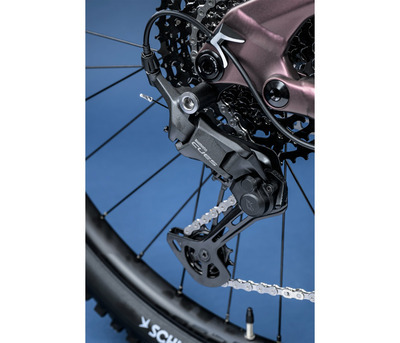 THEOS AX20 MAGIC ICE 29" 800 Wh