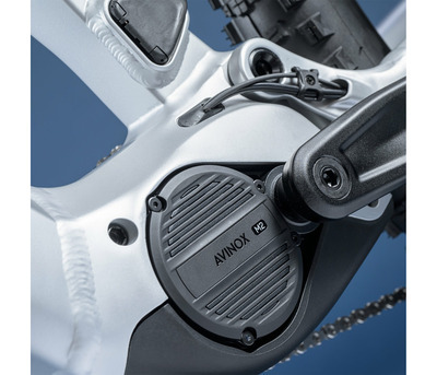 THEOS AX40 STARDUST 29" 800 Wh