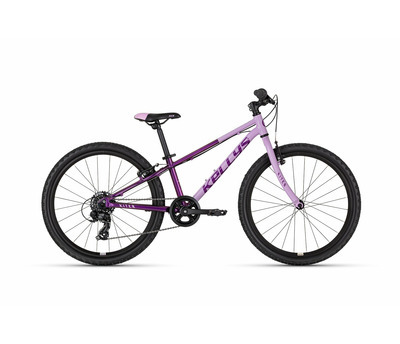 KITER 30 FESTIVAL FUCHSIA 24" 4158164