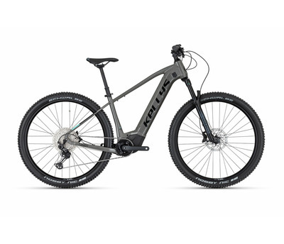 TAYEN R90 P 29" 725 Wh 4158525