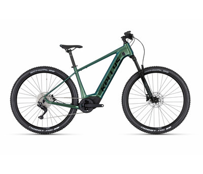 TYGON R50 P MAGIC GREEN 29" 820 Wh 4158531