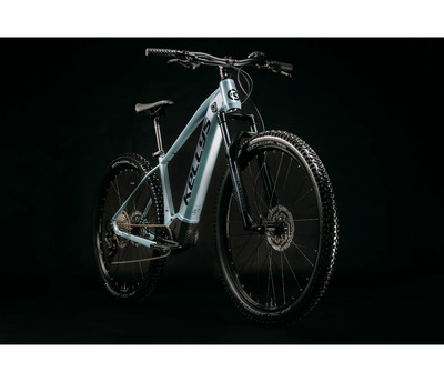 TAYEN R50 P MAGIC PINK 29" 725Wh
