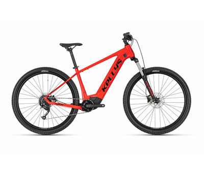 TYGON R10 P RED 29" 725 Wh 4158698