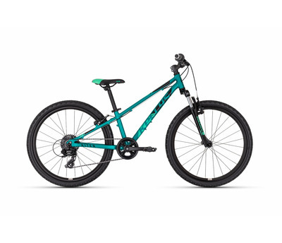 KITER 50 TEAL 24" 4158997