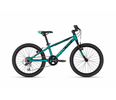 LUMI 30 TEAL 20" 4159173