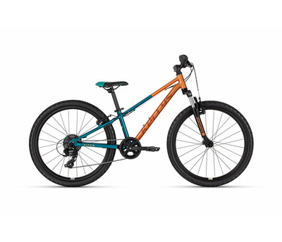 KITER 50 AUTUMN FOREST 24" 4160071
