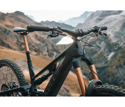 THEOS F90 29/27.5"+ 725 Wh