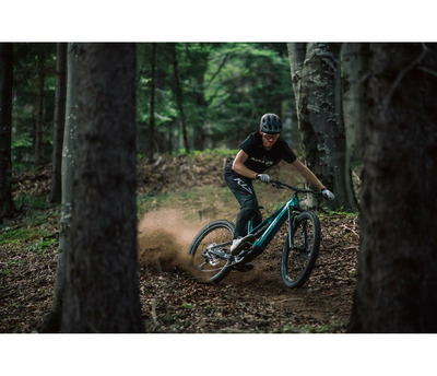 THEOS F60 TEAL 29/27.5"+ 725 Wh