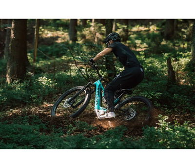 THEOS F60 TEAL 29/27.5"+ 725 Wh