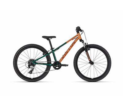 KITER 50 AUTUMN FOREST 24" 4433284
