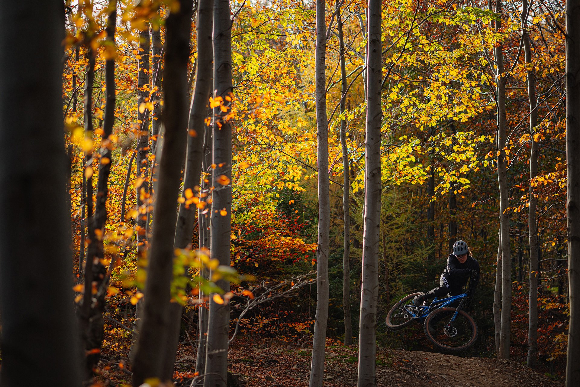 5 Reasons why we love cycling in autumn